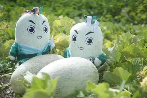 野生玩偶带你吃瓜,野生玩偶带你探索美食瓜界之旅