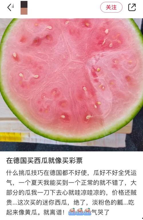 中国旅游吃瓜,一场味蕾的吃瓜之旅