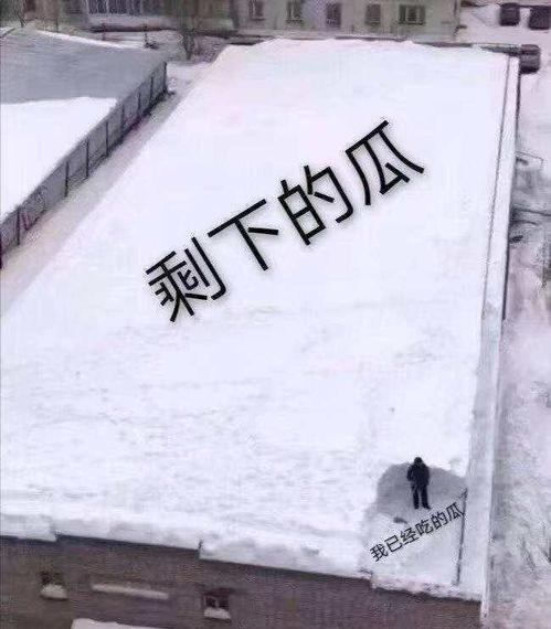 文坛吃瓜局,揭秘幕后吃瓜局背后的故事
