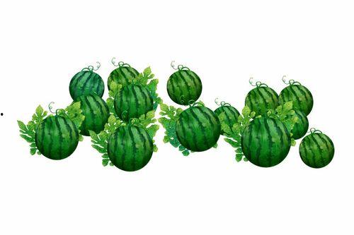 阿菁吃瓜,揭秘娱乐圈那些不为人知的幕后故事