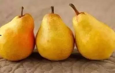 阿姜吃瓜,揭秘娱乐圈背后的秘密与真相