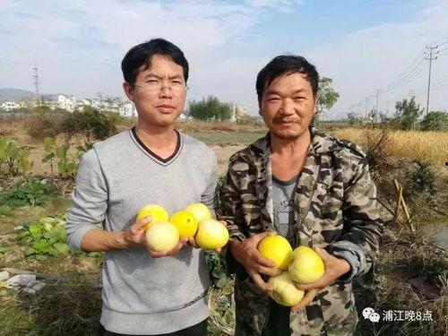 吃瓜群众树上,揭秘网络舆论场的众生相