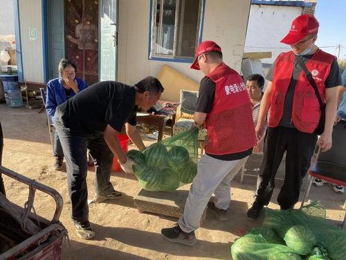 合肥吃瓜小分队