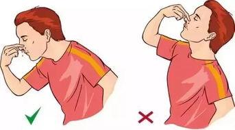 仰头吃瓜,品味生活百态