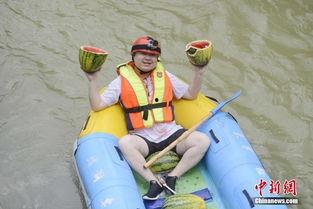 吃瓜群众拼了图片,一场视觉盛宴背后的故事