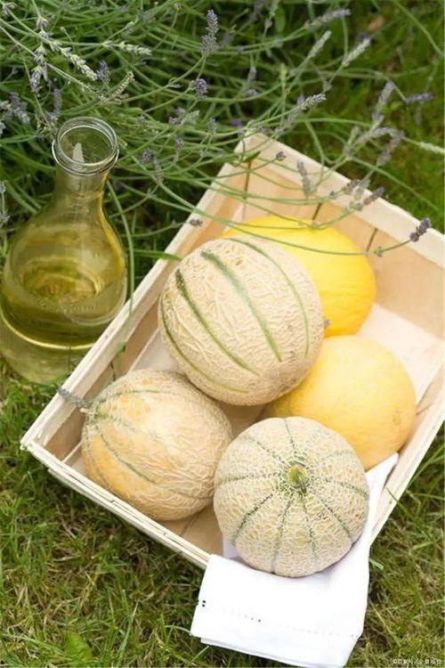 吃瓜三百年,揭秘娱乐圈风云变幻的幕后故事