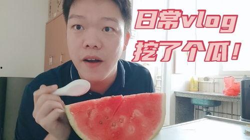 你吃瓜了吗vlog,带你领略幕后花絮与趣味瞬间