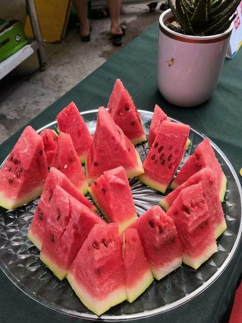 吃瓜大赛今日吃瓜最新消息,今日热点事件大盘点