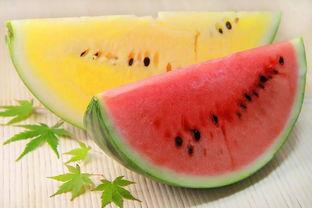 校园吃瓜必吃大瓜,揭秘那些令人瞠目结舌的吃瓜大瓜