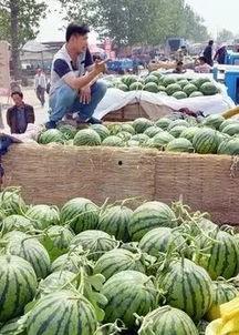 好心人吃瓜,揭秘网络舆论背后的真相与反思